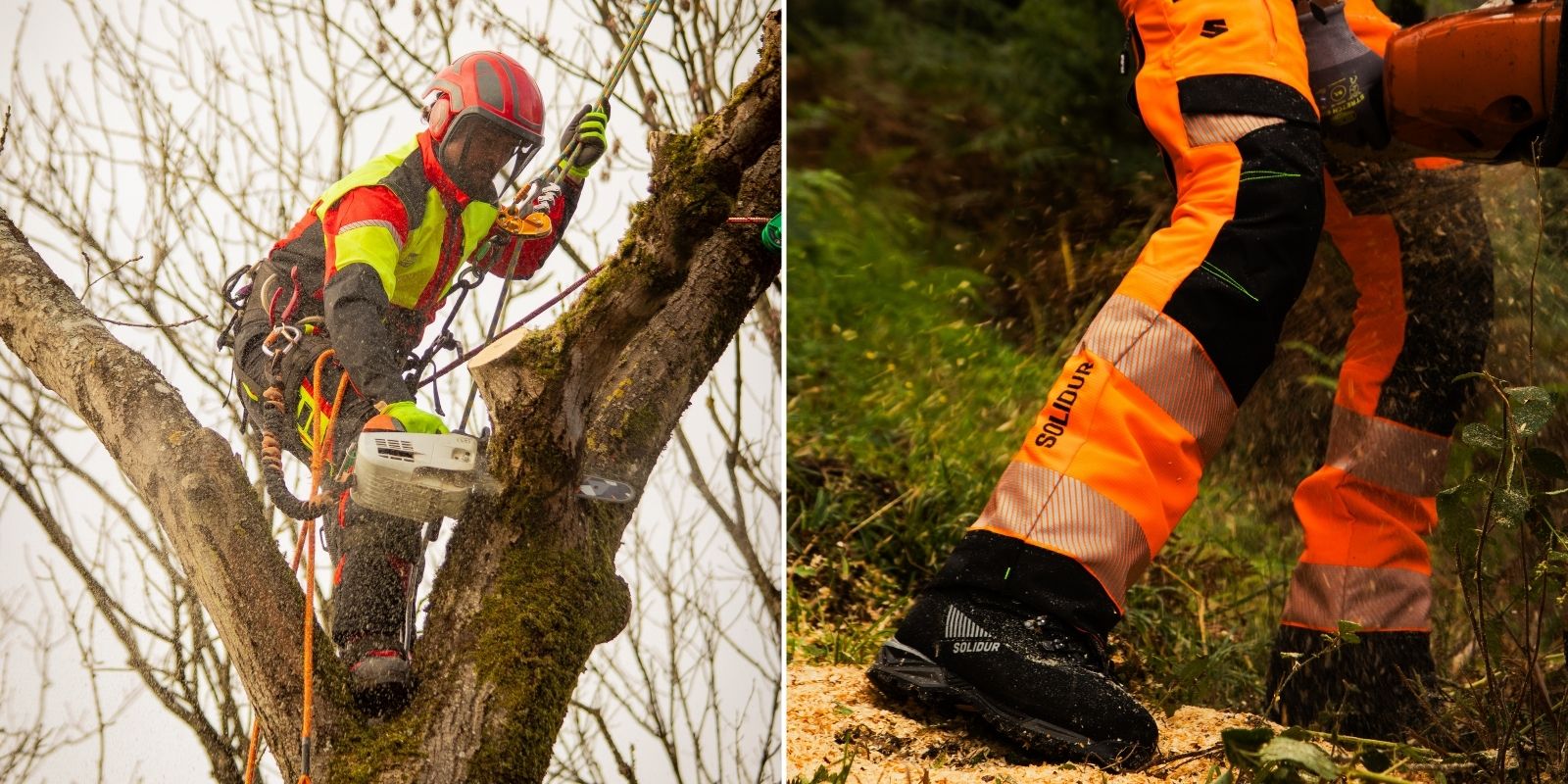 Fatigue travail forestier